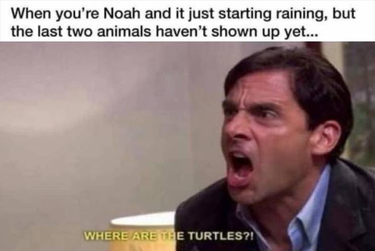 funny picdump 55 pics 15.html - 55 HD Photos | Premium Gallery 2019