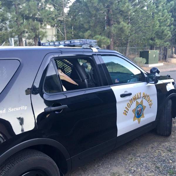 Sometimes You Just Can’t Explain…