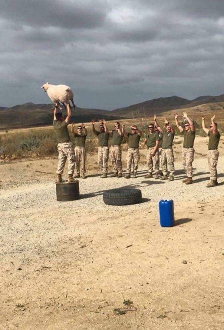 Sometimes You Just Can’t Explain…