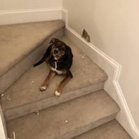 it said slow video.html - 1 HD Video | Premium Gallery 2020