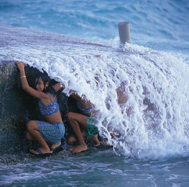 daily picdump 95 pics 42.html - 95 HD Photos | Premium Gallery 2019