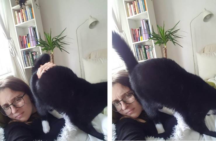 daily picdump 95 pics 42.html - 95 HD Photos | Premium Gallery 2019