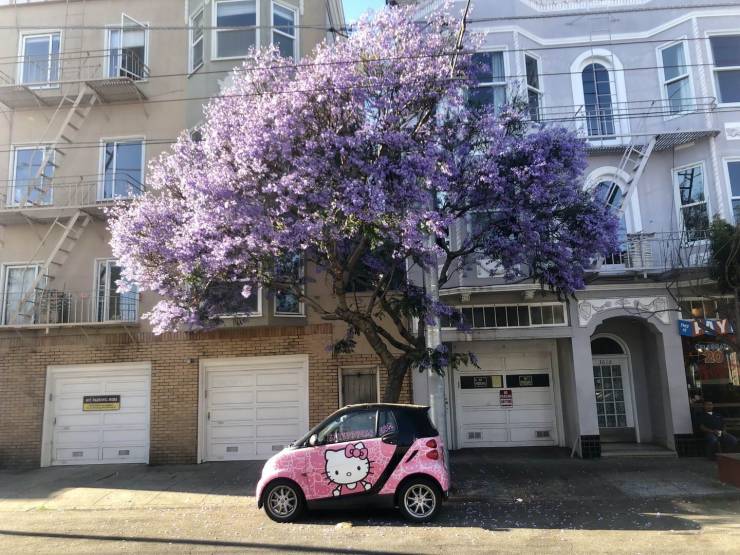 daily picdump 95 pics 42.html - 95 HD Photos | Premium Gallery 2019