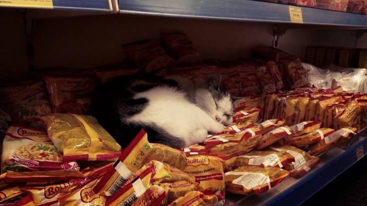 daily picdump 95 pics 42.html - 95 HD Photos | Premium Gallery 2019