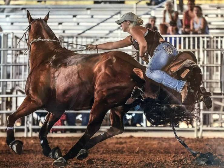 daily picdump 95 pics 42.html - 95 HD Photos | Premium Gallery 2019