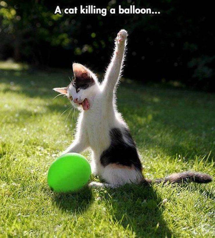 daily picdump 95 pics 42.html - 95 HD Photos | Premium Gallery 2019