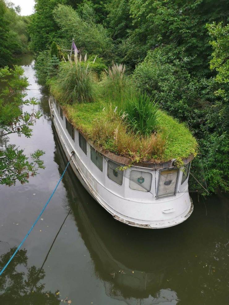 daily picdump 95 pics 42.html - 95 HD Photos | Premium Gallery 2019