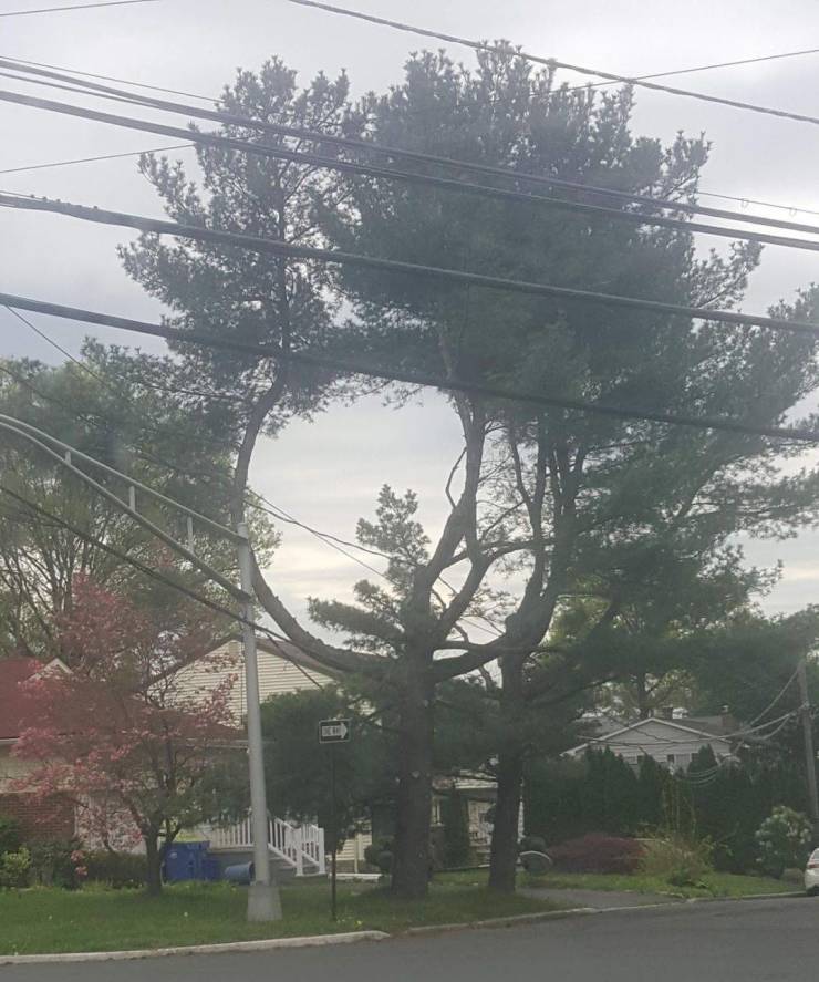 daily picdump 95 pics 42.html - 95 HD Photos | Premium Gallery 2019