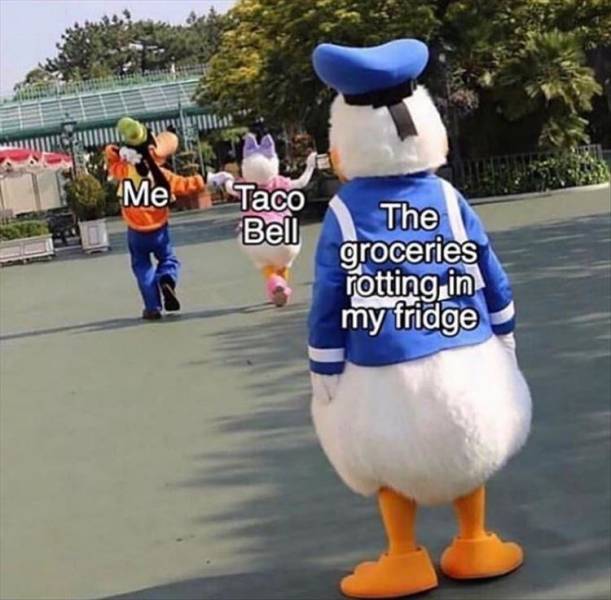 funny picdump 53 pics 3.html - 53 HD Photos | Premium Gallery 2019