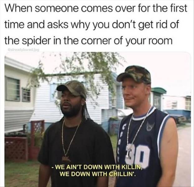 funny picdump 53 pics 3.html - 53 HD Photos | Premium Gallery 2019