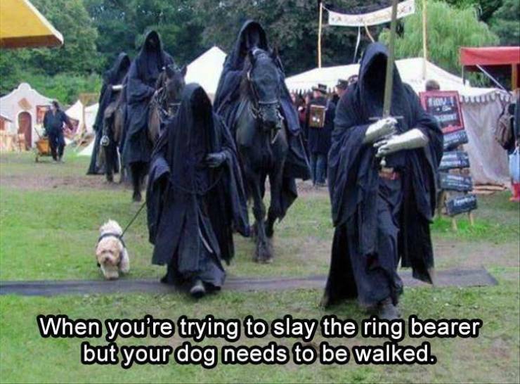 funny picdump 53 pics 3.html - 53 HD Photos | Premium Gallery 2019