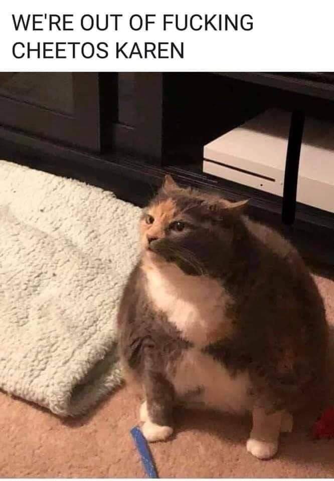 funny picdump 53 pics 3.html - 53 HD Photos | Premium Gallery 2019