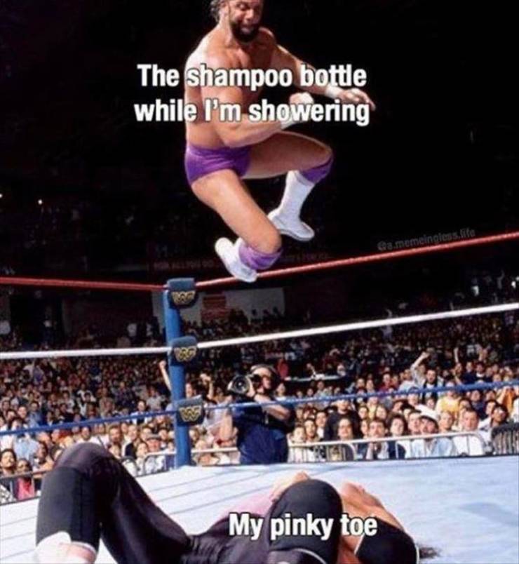 funny picdump 53 pics 3.html - 53 HD Photos | Premium Gallery 2019