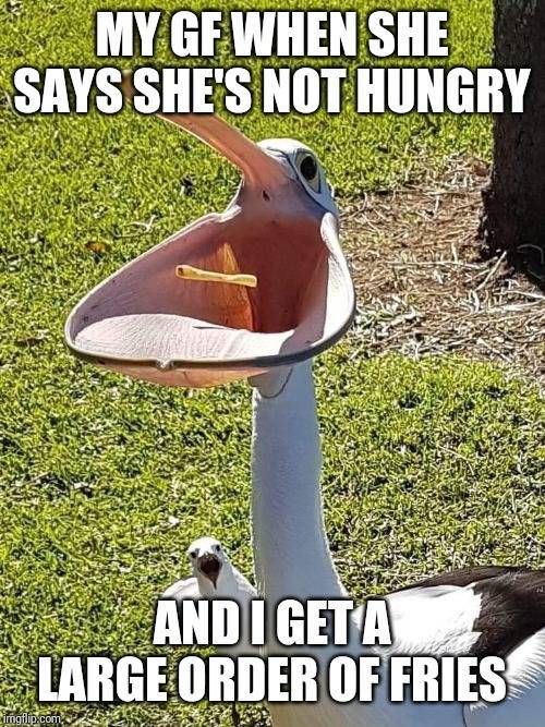 funny picdump 51 pics 17.html - 51 HD Photos | Premium Gallery 2019