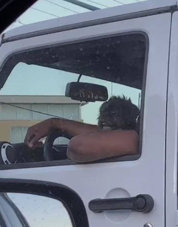 funny picdump 51 pics 17.html - 51 HD Photos | Premium Gallery 2019