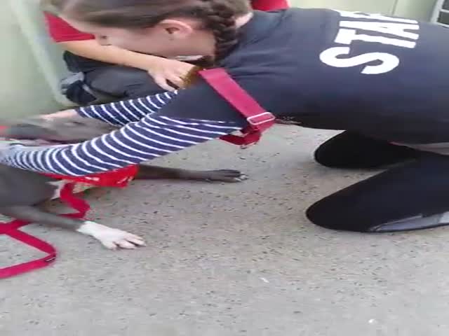 page,3,top 75 videos of the year 2019.html - 1 HD Video | Premium Gallery 2019