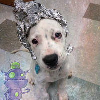 fatality video.html - 1 HD Video | Premium Gallery 2020