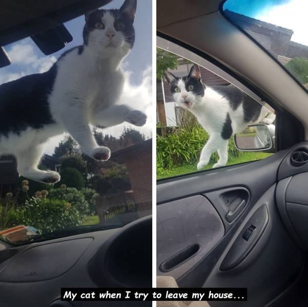 page,25,top 750 daily pics of the year 2019.html - 1 HD Photos | Premium Gallery 2019