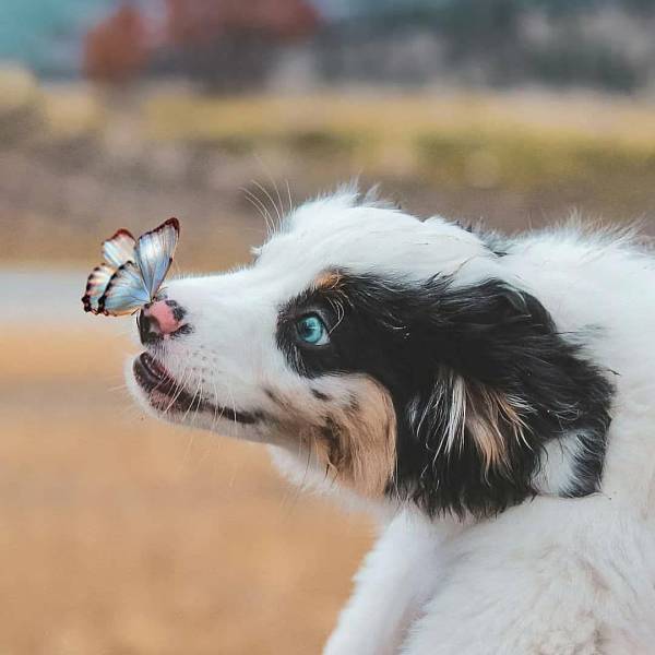 page,25,top 750 daily pics of the year 2019.html - 1 HD Photos | Premium Gallery 2019