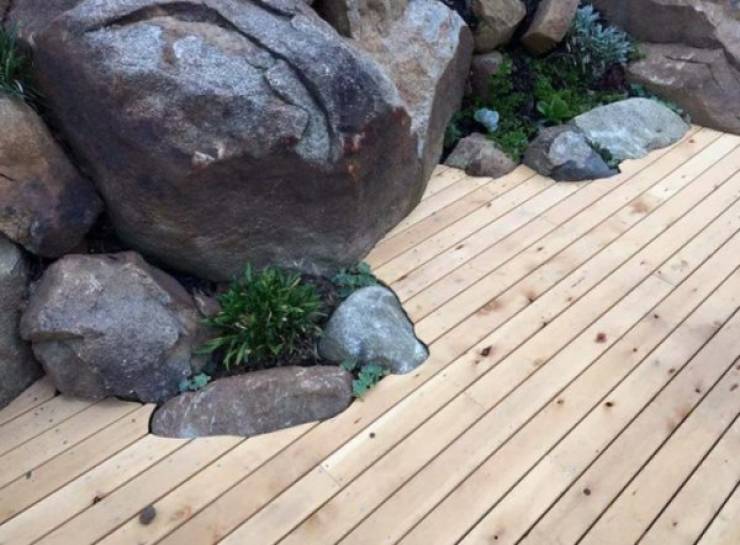 Straight Out Of The Woodwork!