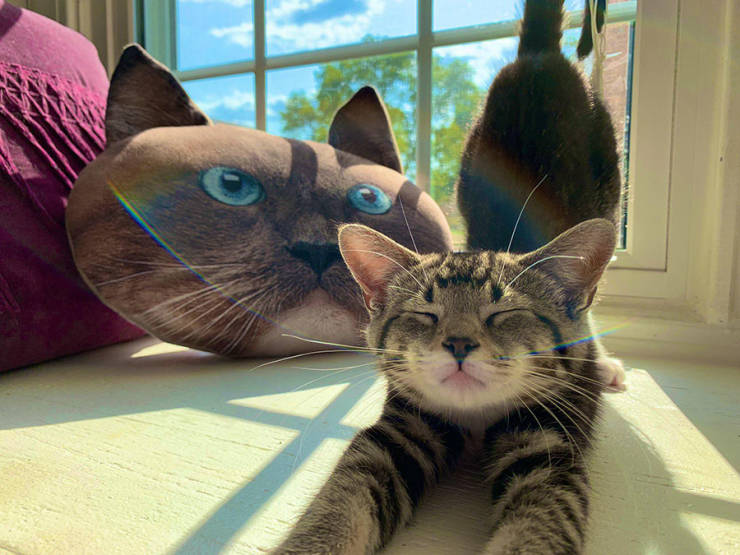 morning picdump 51 pics 23.html - 51 HD Photos | Premium Gallery 2019