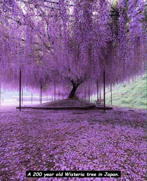 page,3,top 750 daily pics of the year 2019.html - 1 HD Photos | Premium Gallery 2019