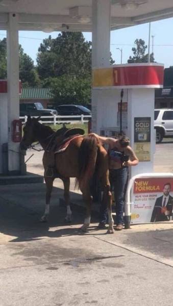 page,26,top 750 daily pics of the year 2019.html - 1 HD Photos | Premium Gallery 2019