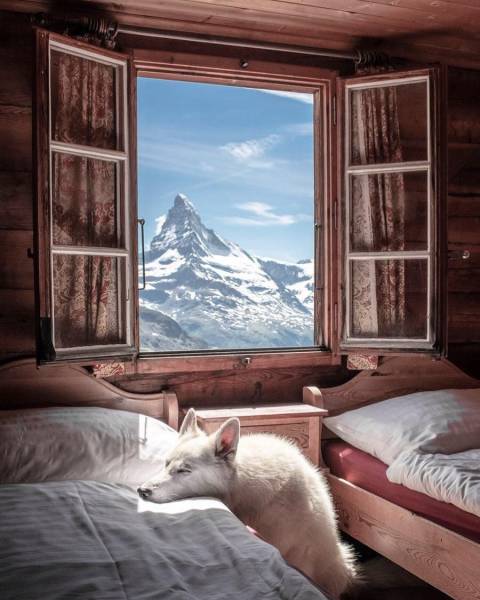 page,15,top 750 daily pics of the year 2019.html - 1 HD Photos | Premium Gallery 2019