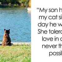 flexible girls will always be sexy 51 pics 2 gifs.html - 51 HD GIF | Premium Gallery 2020