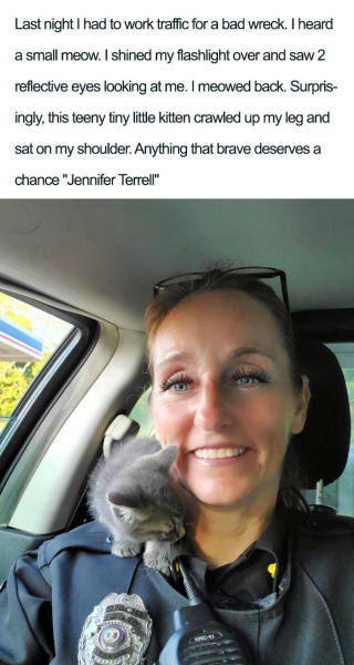 page,3,top 100 animals pics of the year 2019.html - 1 HD Photos | Premium Gallery 2019