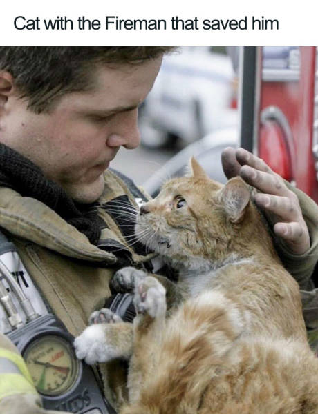 top 100 animals pics of the year 2019.html - 1 HD Photos | Premium Gallery 2019