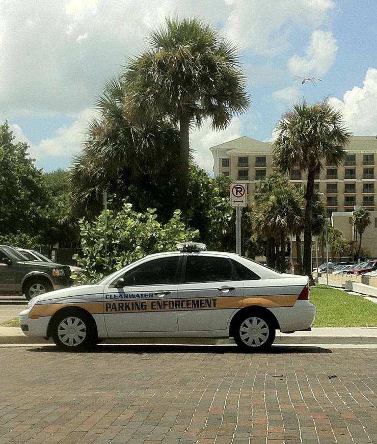 morning picdump 51 pics 2.html - 51 HD Photos | Premium Gallery 2019