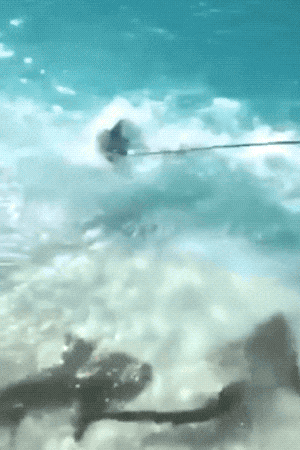 These GIFs End Way Too Soo…