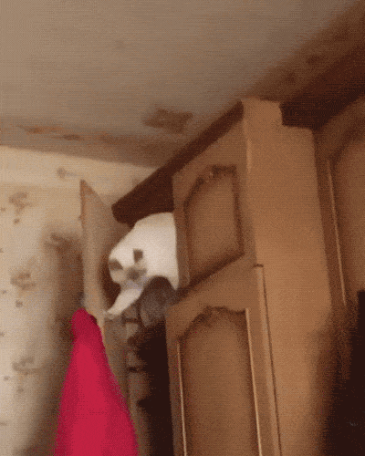 These GIFs End Way Too Soo…