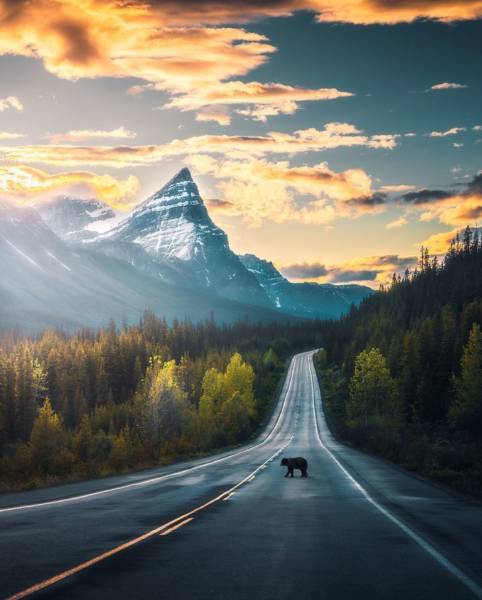 page,26,top 750 daily pics of the year 2019.html - 1 HD Photos | Premium Gallery 2019