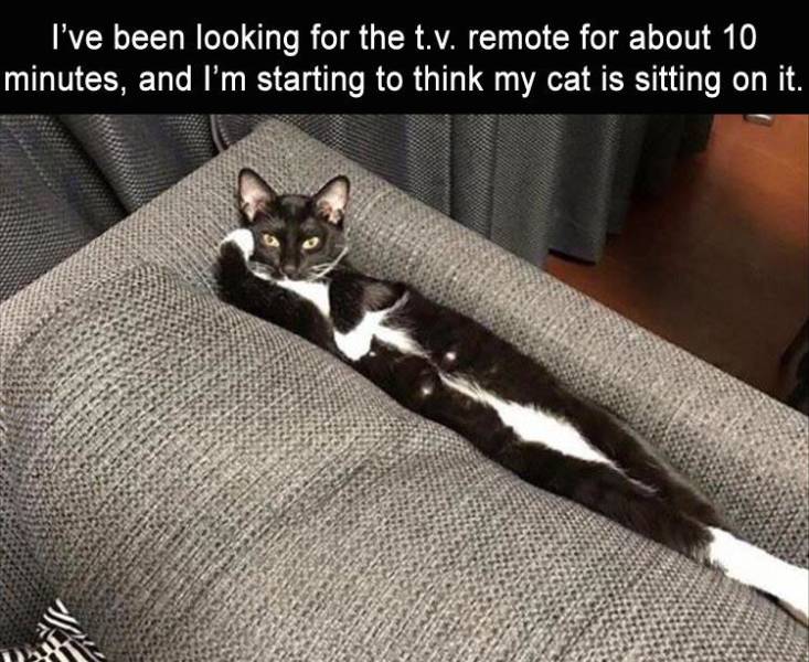 funny picdump 52 pics 13.html - 52 HD Photos | Premium Gallery 2019