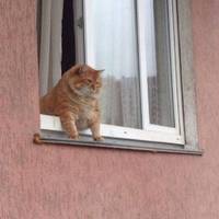 grownup corner 58 pics.html - 58 HD Photos | Premium Gallery 2020