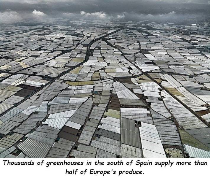 daily picdump 97 pics 12.html - 97 HD Photos | Premium Gallery 2019