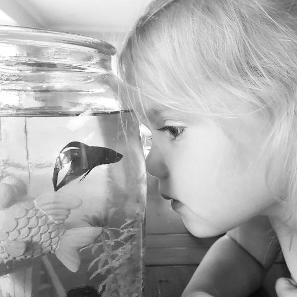 daily picdump 97 pics 12.html - 97 HD Photos | Premium Gallery 2019