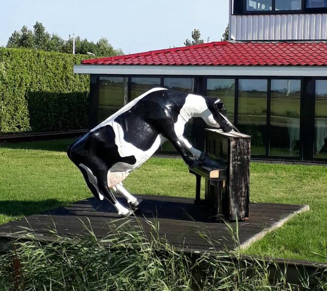 daily picdump 97 pics 12.html - 97 HD Photos | Premium Gallery 2019