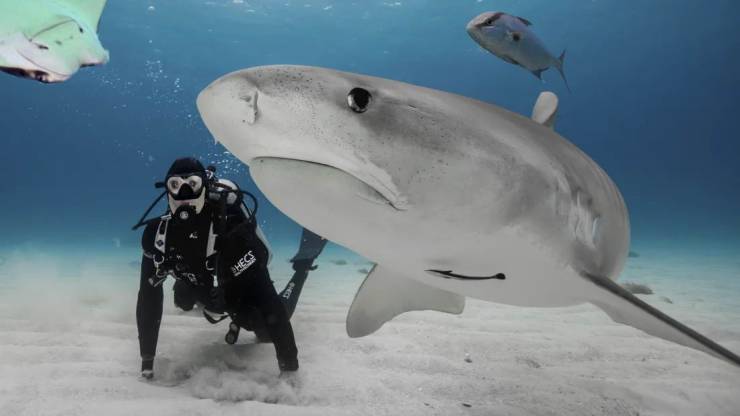 daily picdump 97 pics 12.html - 97 HD Photos | Premium Gallery 2019