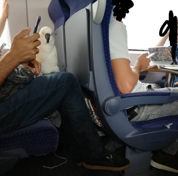 daily picdump 97 pics 12.html - 97 HD Photos | Premium Gallery 2019