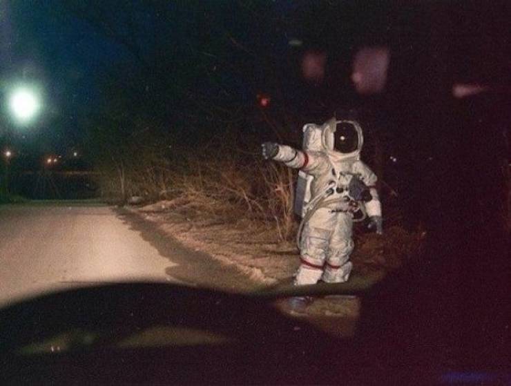 daily picdump 97 pics 12.html - 97 HD Photos | Premium Gallery 2019