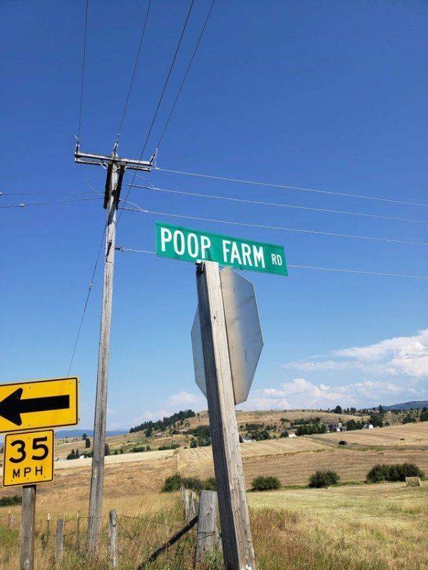 daily picdump 97 pics 12.html - 97 HD Photos | Premium Gallery 2019