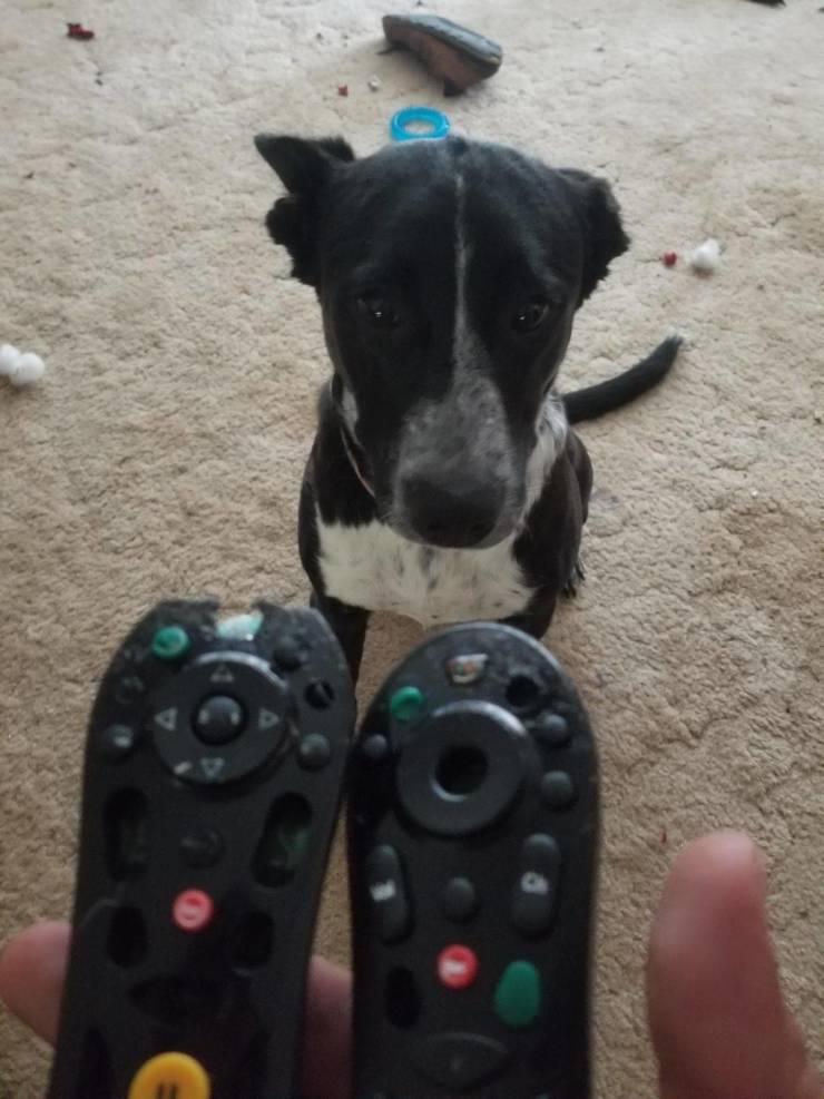 daily picdump 97 pics 12.html - 97 HD Photos | Premium Gallery 2019