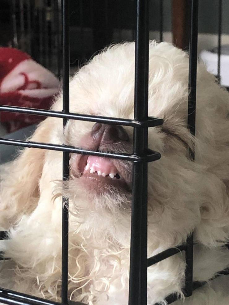 daily picdump 97 pics 12.html - 97 HD Photos | Premium Gallery 2019