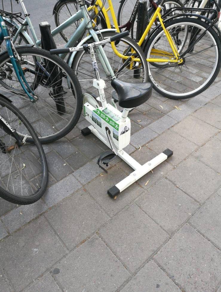 daily picdump 97 pics 12.html - 97 HD Photos | Premium Gallery 2019