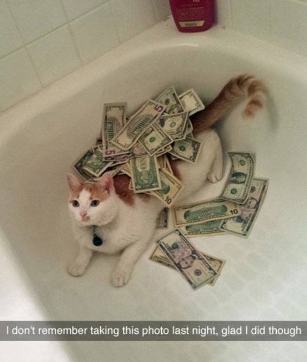 Wasted Or Not, It Doesn’t Matter