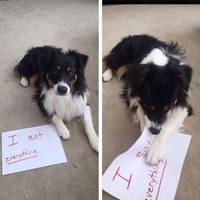 the best part about yoga is yoga pants 52 pics.html - 52 HD Photos | Premium Gallery 2020