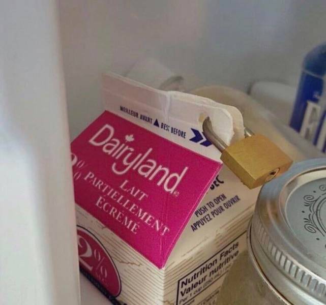 Daily Picdump [WEEKEND EDITION]